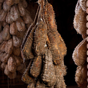 Coppa di Parma